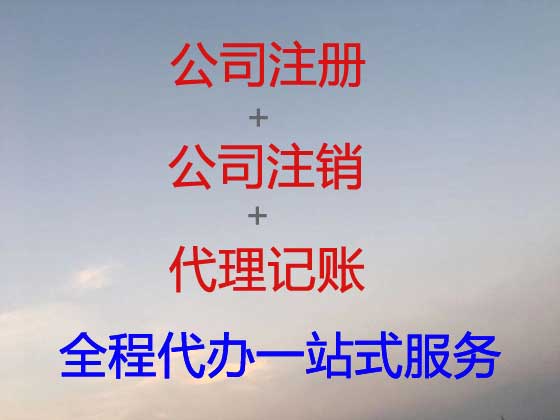 海东公司个体工商户注册-公司减资变更